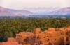 Cultural Fusion in Marrakech: Exploring Morocco's Jewel