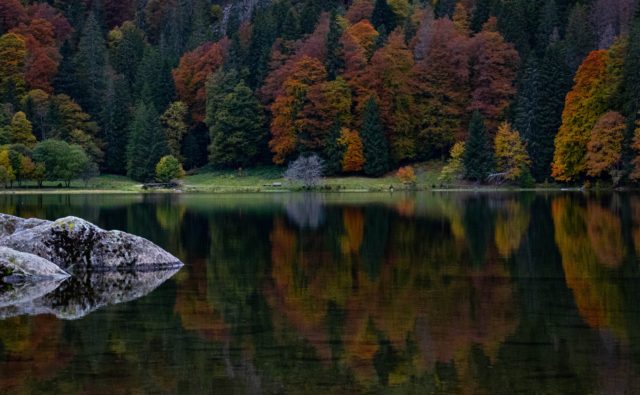 Feldsee Germany