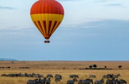 Hot air balloon ride