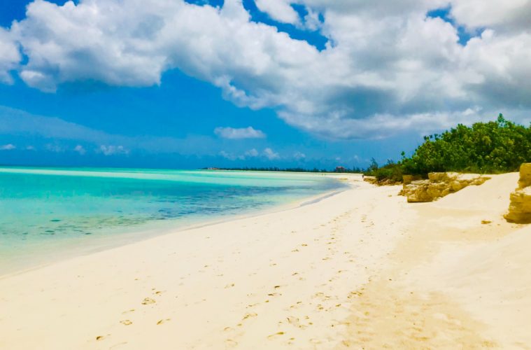 Exploring marine life at Grace Bay, diving in Turks and Caicos