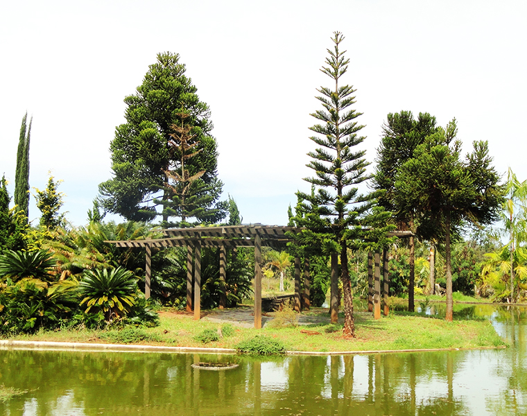 Jardim Botanico