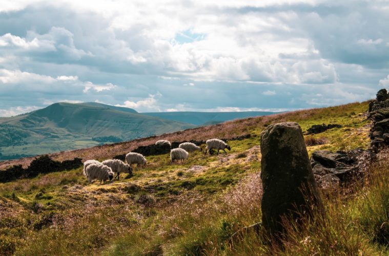 Visit the Peak District in February