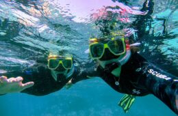 The World Below The Surface: Mystical Snorkelling Locations In Australia great barrier reef