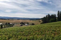 Oregon Winery oregon wine country