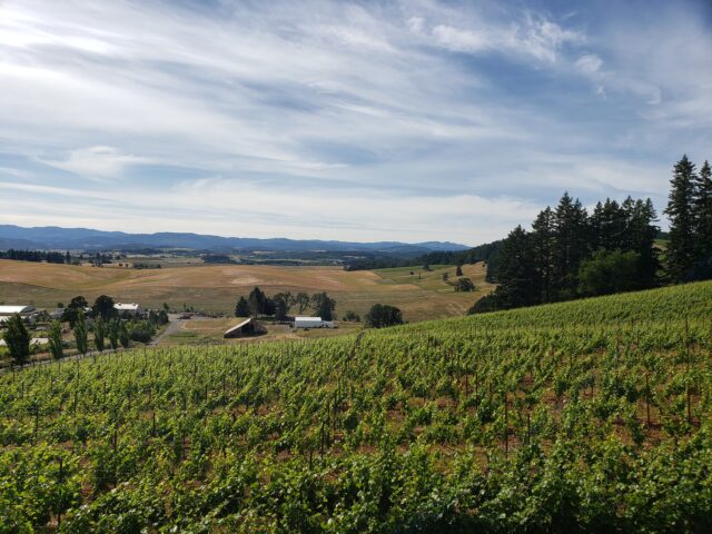Oregon Winery oregon wine country
