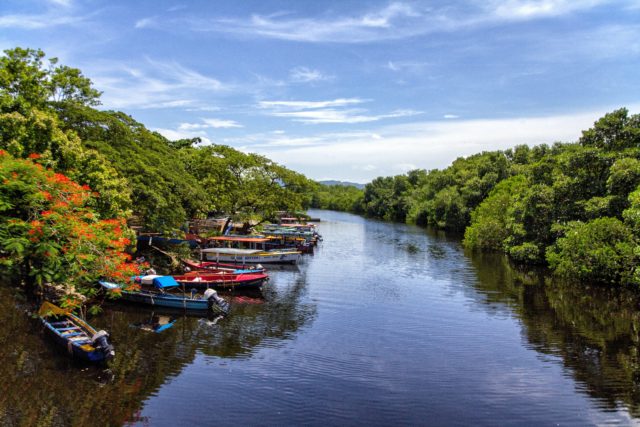 Martha Brae River Caribbean Activities Montego Bay